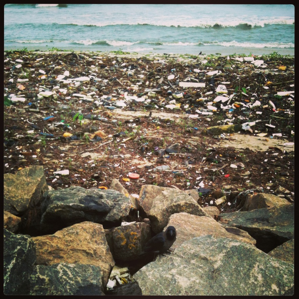 Cochin beach